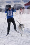 Lenk 2013